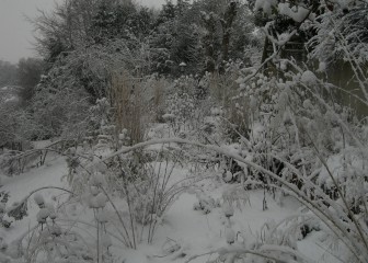 Top terrace in the snow
