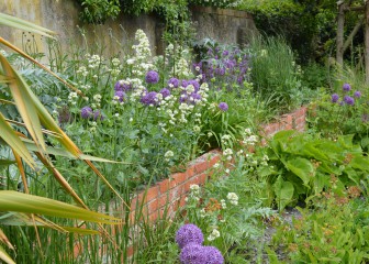 Top terrace blooming